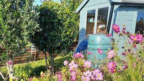 Saving water community fund image